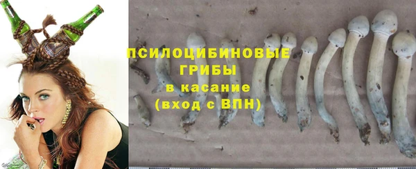 тгк Богородск