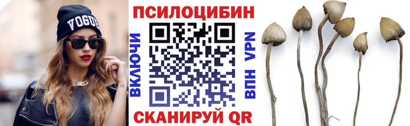 Галлюциногенные грибы Psilocybe где продают ОМГ ОМГ ссылка Новороссийск
